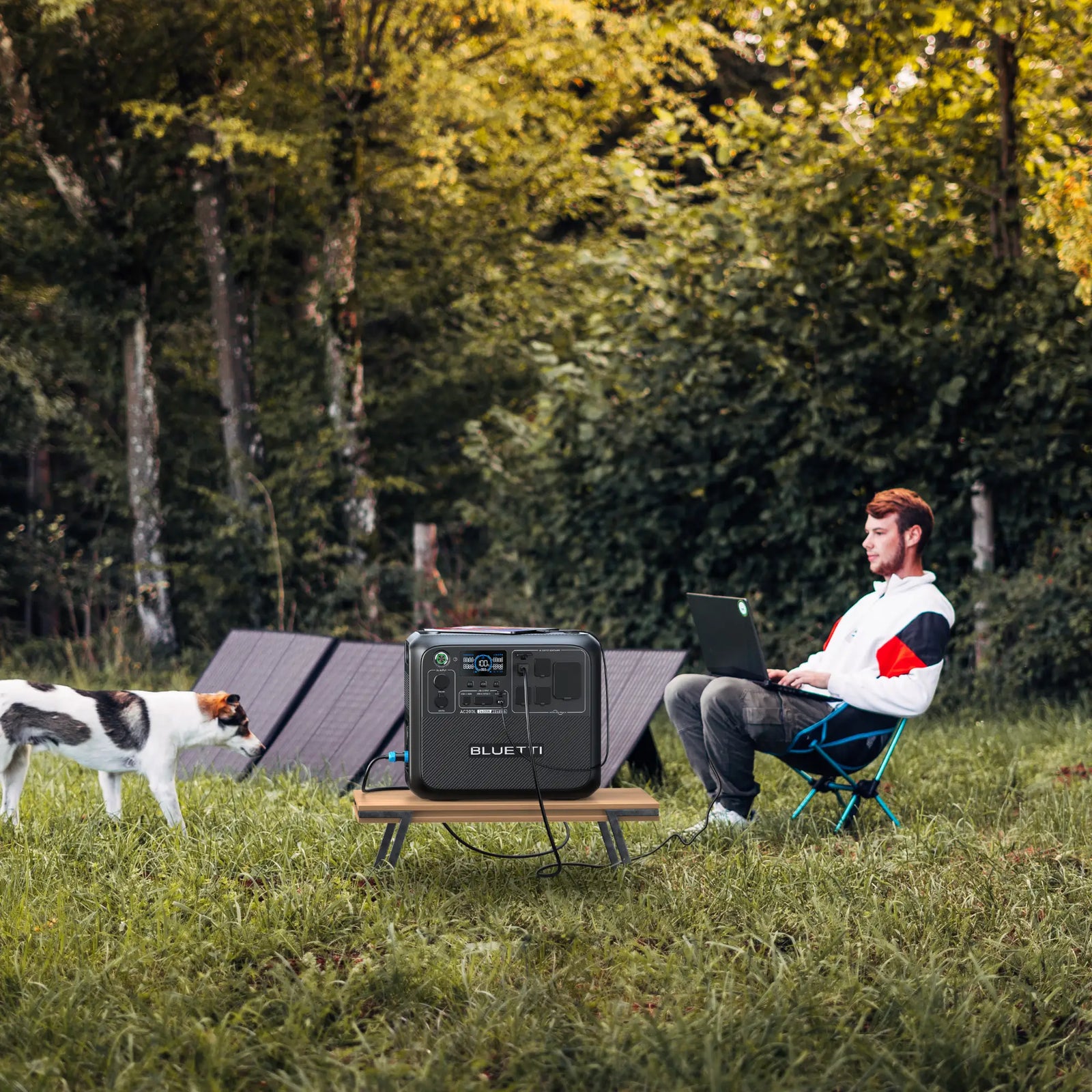 BLUETTI AC200L Portable Power Station - Image 8